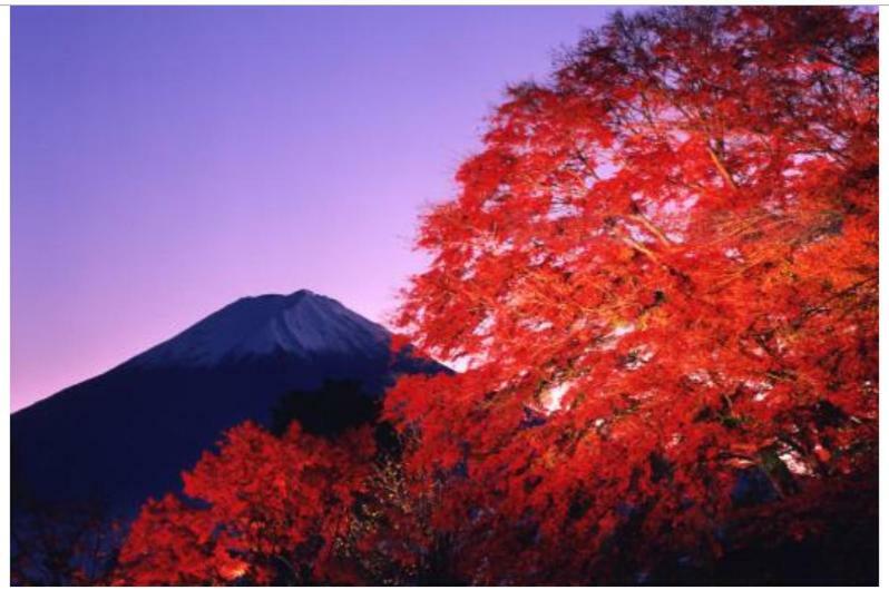 Вилла Erable Mt.Fuji "Kaze" Фудзикавагутико Экстерьер фото